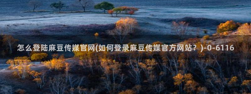 麻豆传媒映化官网：怎么登陆麻豆传媒官网(如何登录麻豆传媒官方网站？)