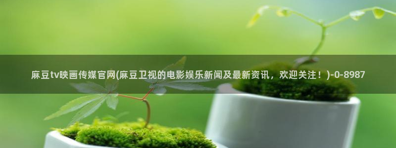 麻豆传媒官网女主：麻豆tv映画传媒官网(麻豆卫视的电影娱乐新闻及最新资讯，欢迎关注！)