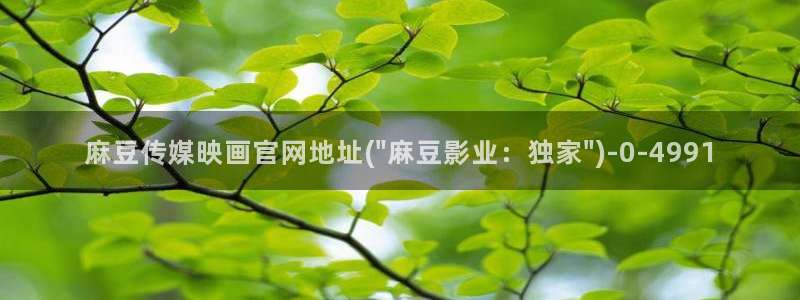麻豆床传媒官网浸入：麻豆传媒映画官网地址(\