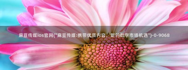 mdl pud 麻豆传媒官网：麻豆传媒ios官网(\