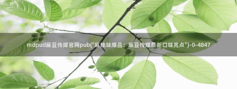 台湾麻豆映像传媒官网：mdpud麻豆传媒官网pub(\