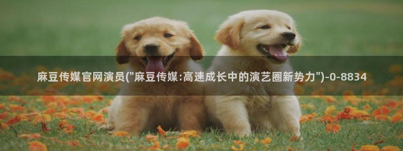 麻豆官网传媒视频：麻豆传媒官网演员(\