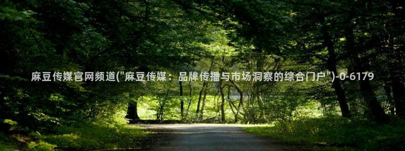 麻豆传传媒官网：麻豆传媒官网频道(\