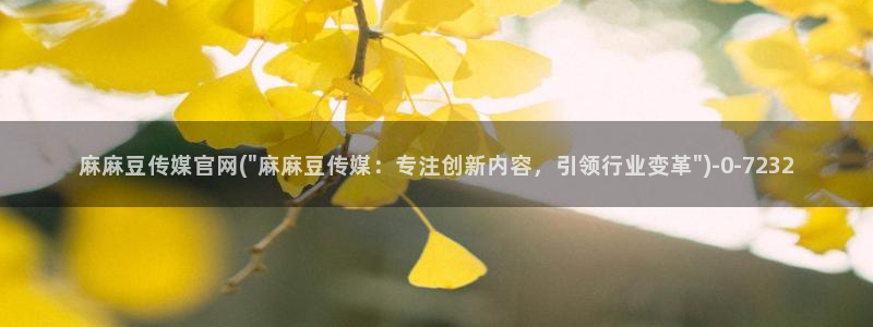 国产剧情麻豆传媒官网：麻麻豆传媒官网(\
