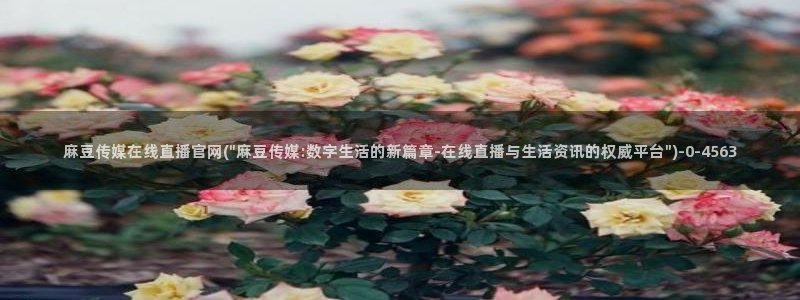 麻豆国产传媒官网