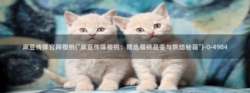 麻豆传媒官网最新入口