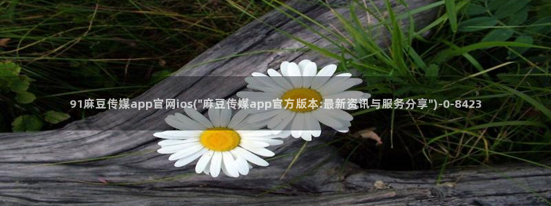 麻豆短传媒官网安卓下载：91麻豆传媒app官网ios(\