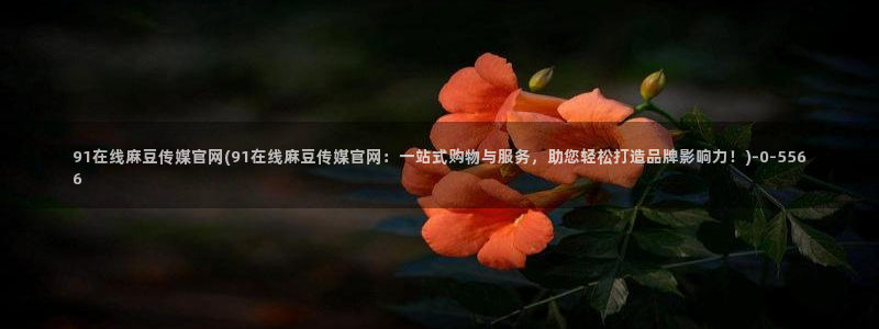 国产剧情麻豆传媒官网