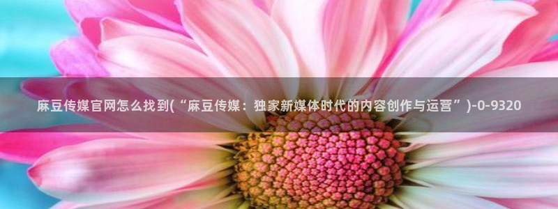 麻豆传媒之光官网