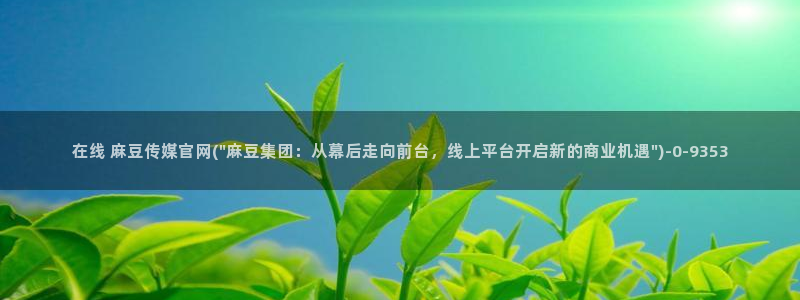麻豆映象传媒官网