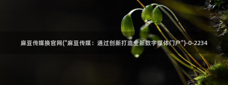 麻豆传媒公司av官网
